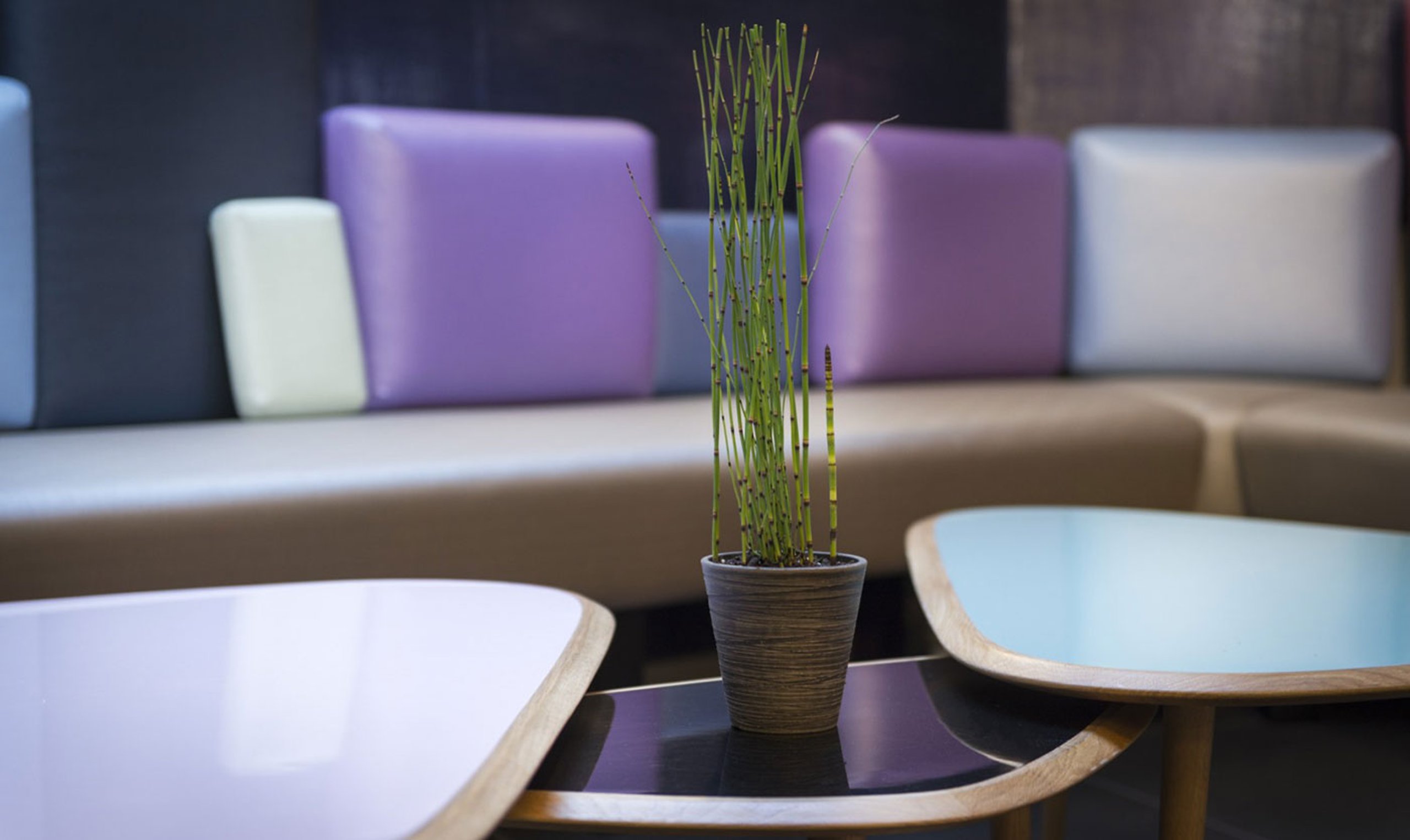 slider_image_5